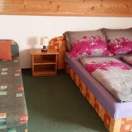 Apartment Haus Willi *