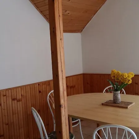 Apartment Haus Willi *