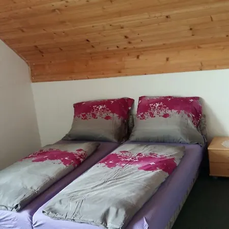 Apartment Haus Willi *