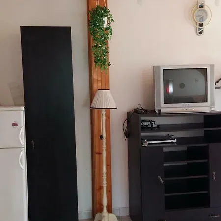 Haus Willi Apartment *